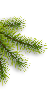 Árbol pequeño a la izquierda